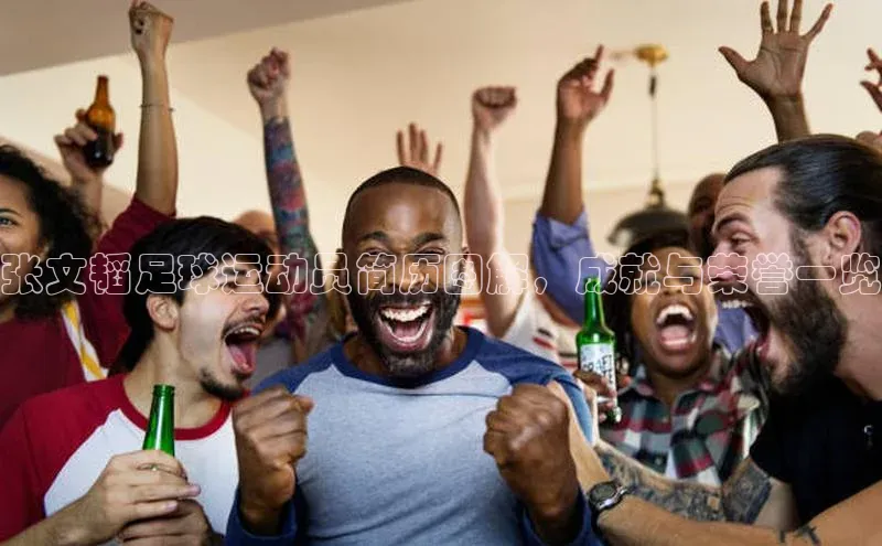 头号玩家官网下载引力传媒张文韬足球运动员简历图解，成就与荣誉一览