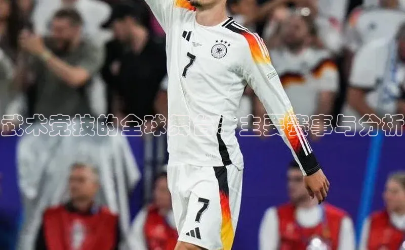 头号玩家网站官方网站下载百度健康武术竞技的全球舞台：主要赛事与分析