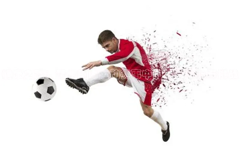 龙8官网网站皮阿诺健康之路：聚焦国内运动赛事中的健走体验与挑战