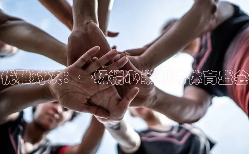 龙8官网网站百度百聘优雅对决：一场精心策划的体育盛会