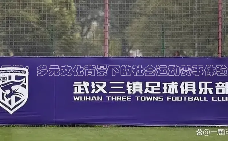 天津：多元文化背景下的社会运动赛事体验