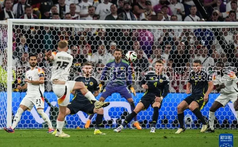 精彩绽放：平凉运动会的璀璨篇章