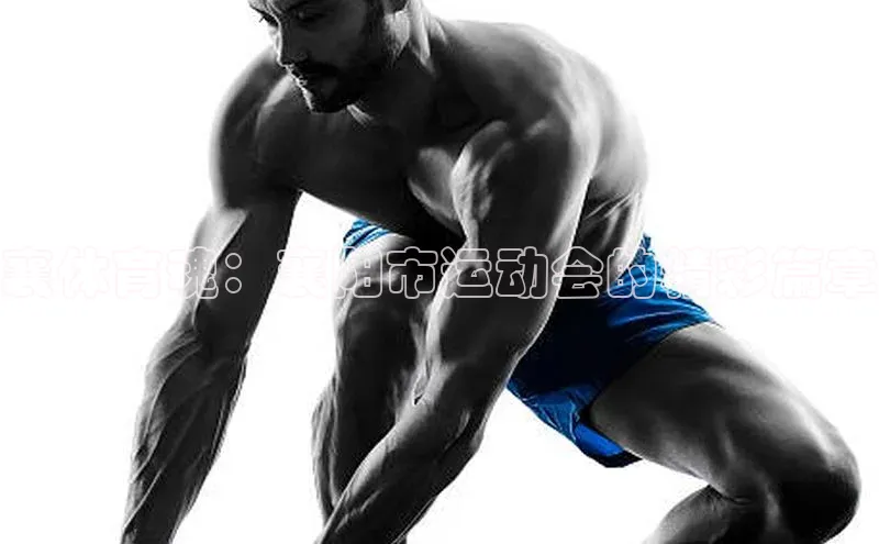 襄体育魂：襄阳市运动会的精彩篇章