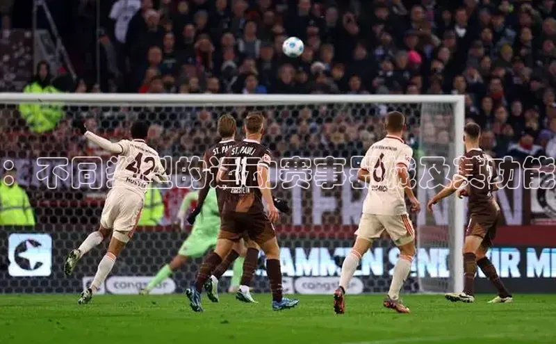 ：不同类型的运动赛事器械及其功能