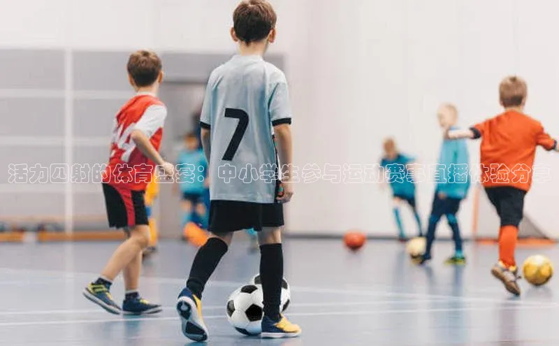 活力四射的体育盛宴：中小学生参与运动赛事直播体验分享