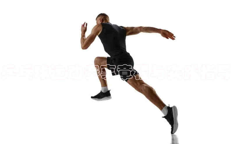 乒乓球运动赛事章程与实践指导