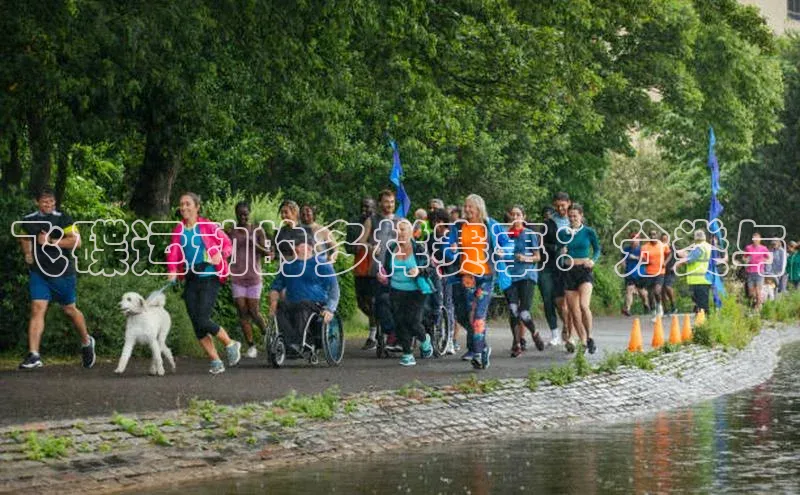 飞碟运动的多样赛事：分类与