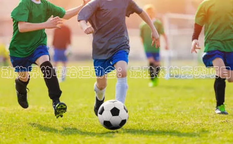 动物界的嘻哈运动会：最独特的竞赛项目