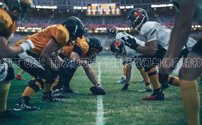 绿意飞扬：丽水运动会的精彩瞬间与体育精神