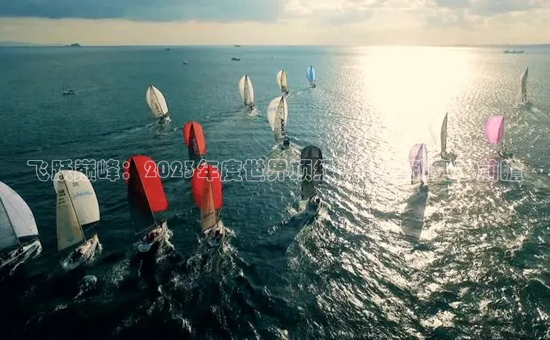 飞跃巅峰：2023年度世界顶级体育运动赛事前瞻