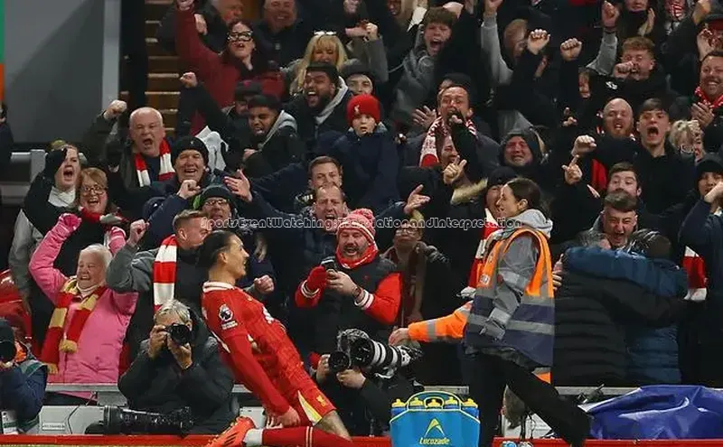 SportsEventWatching:TranslationandInterpretation