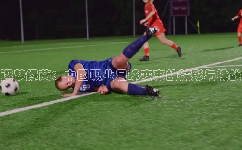 龙8long8手机登录